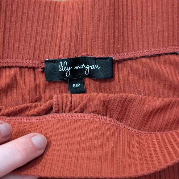 Button-Front Ribbed Midi Skirt in Rust - Picture 3 of 3